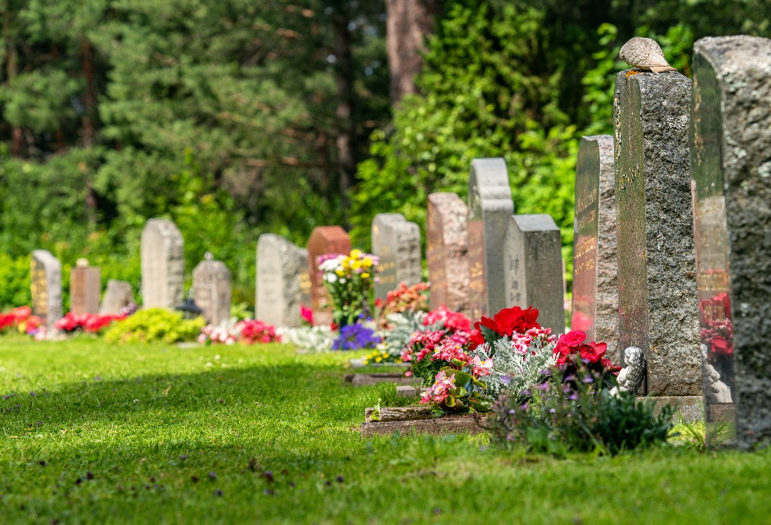 Curved row of grave stones with red and pink flowers
