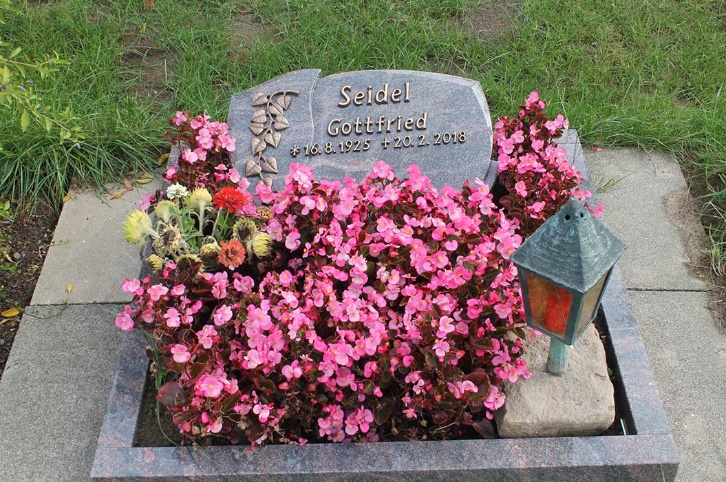 Stein mit Gravur, umgeben von rosa Blumen. Grün-blaue Laterne rechts davon.