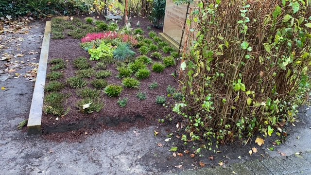 Ein ordentlich gepflegtes Beet mit verschiedenen kleinen, grünen und roten Pflanzen